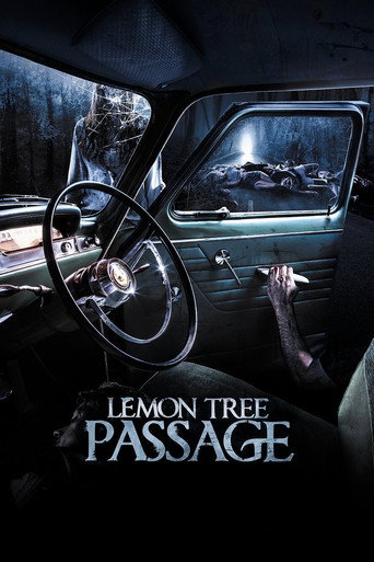 Póster de Lemon Tree Passage