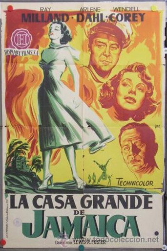 Póster de Jamaica Run