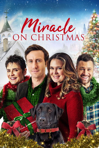 Póster de Un milagro para navidad