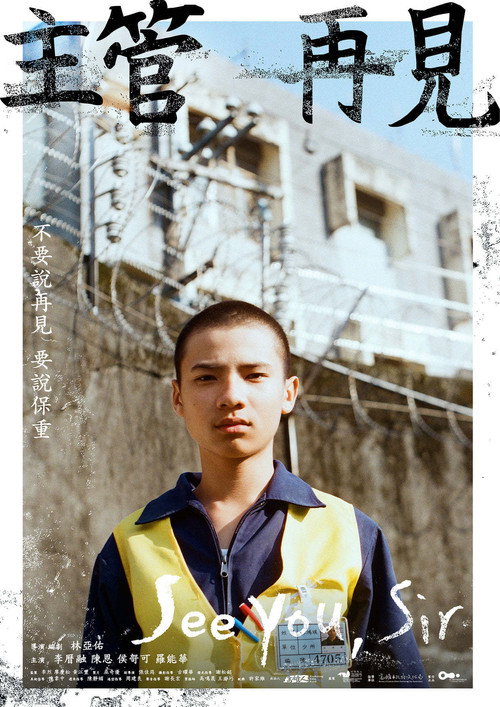 Póster de 主管再見