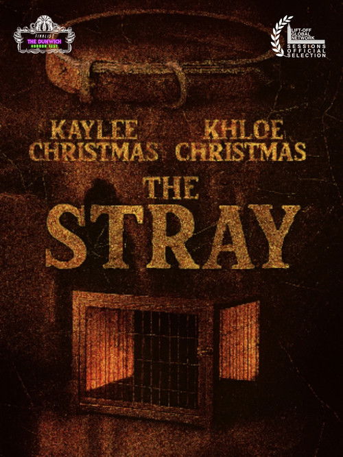 Póster de The Stray