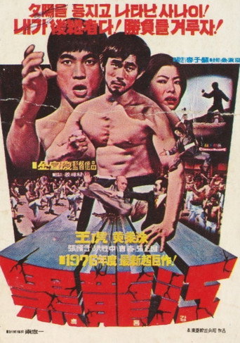Póster de 흑룡강
