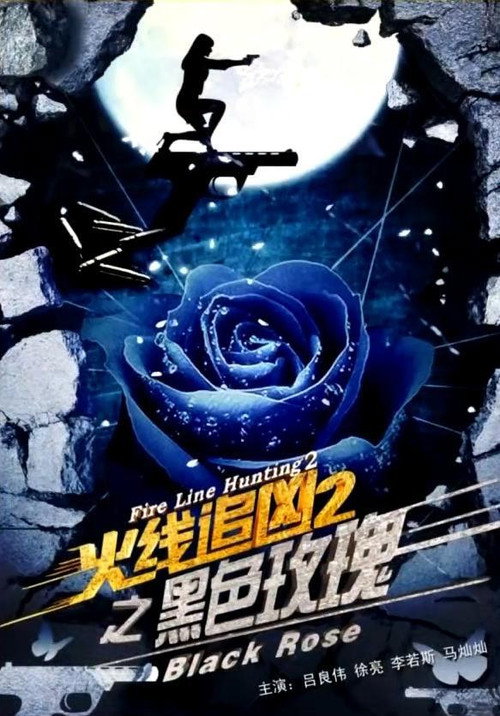 Póster de 火线追凶2之黑色玫瑰