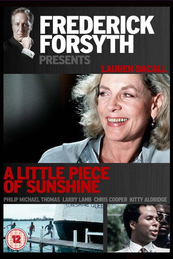 Póster de A Little Piece of Sunshine