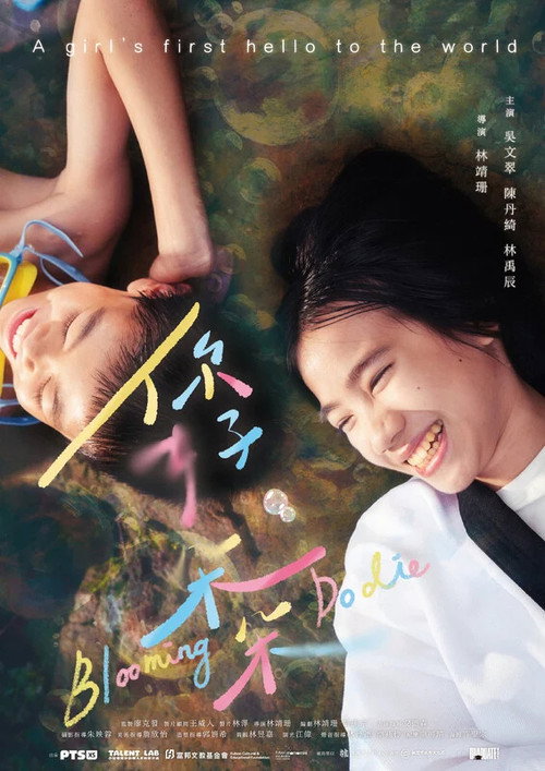 Póster de 你好，朵朵