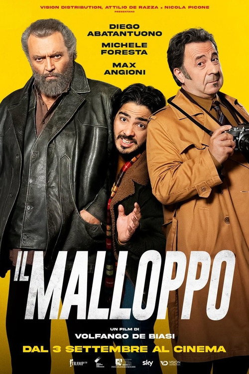Póster de Il malloppo