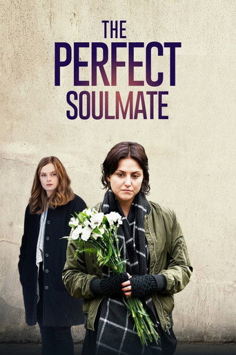 Póster de The Perfect Soulmate
