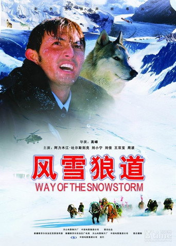 Póster de 风雪狼道