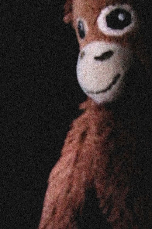 Póster de The Jay Monkey Project