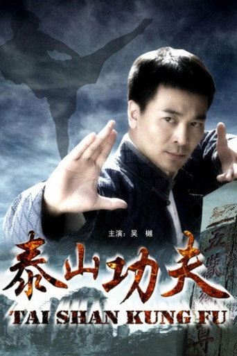 Póster de 泰山功夫