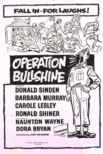 Póster de Operation Bullshine