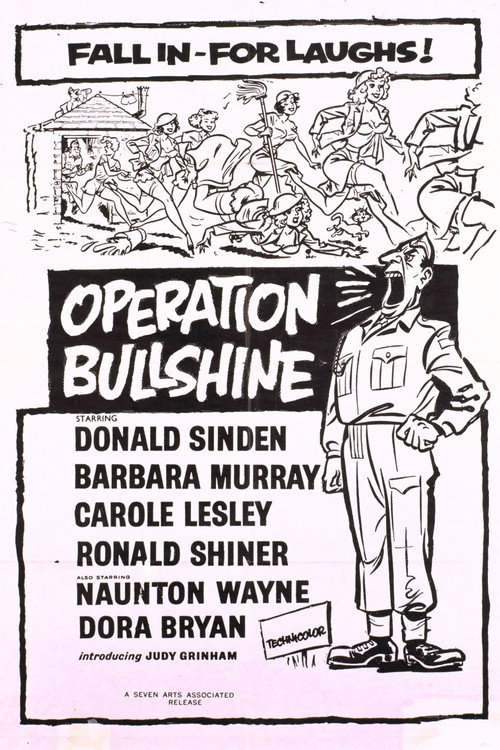 Póster de Operation Bullshine