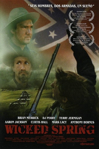 Póster de Wicked Spring