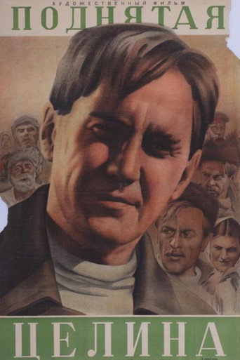 Póster de The New Land