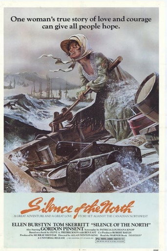 Póster de Silence of the North