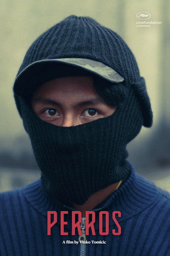 Póster de El Ladrón de Perros