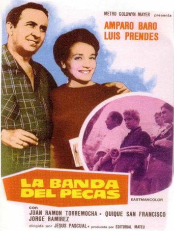 Póster de LA BANDA DEL PECAS