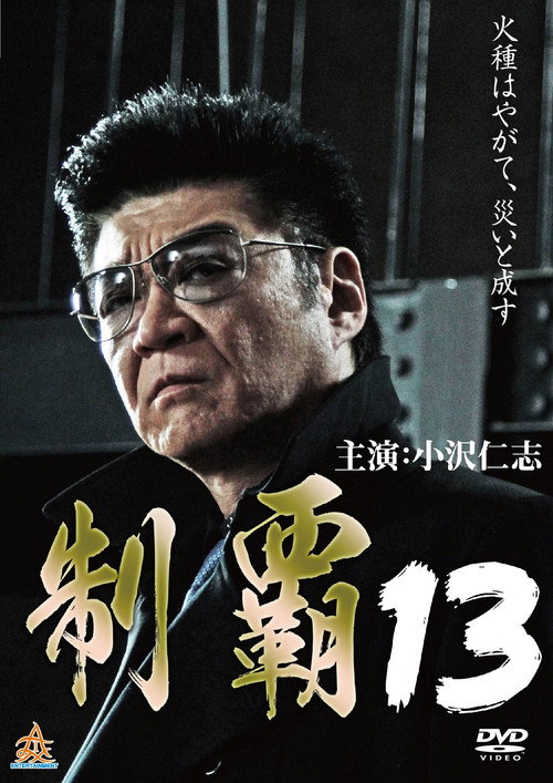 Póster de 制覇１３