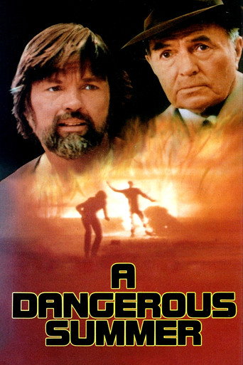 Póster de A Dangerous Summer