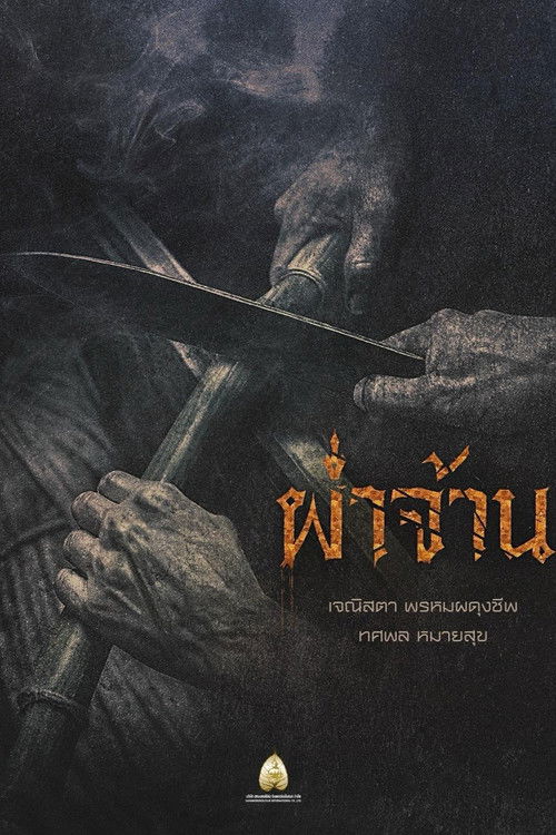 Póster de ผ่าจ้าน