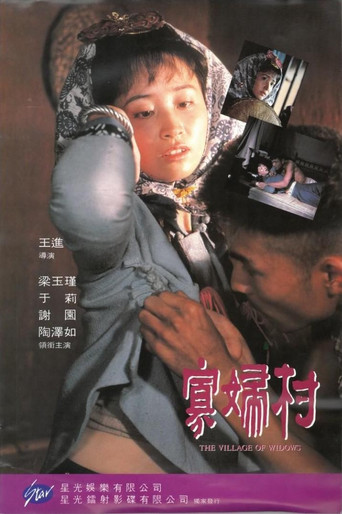 Póster de 寡妇村