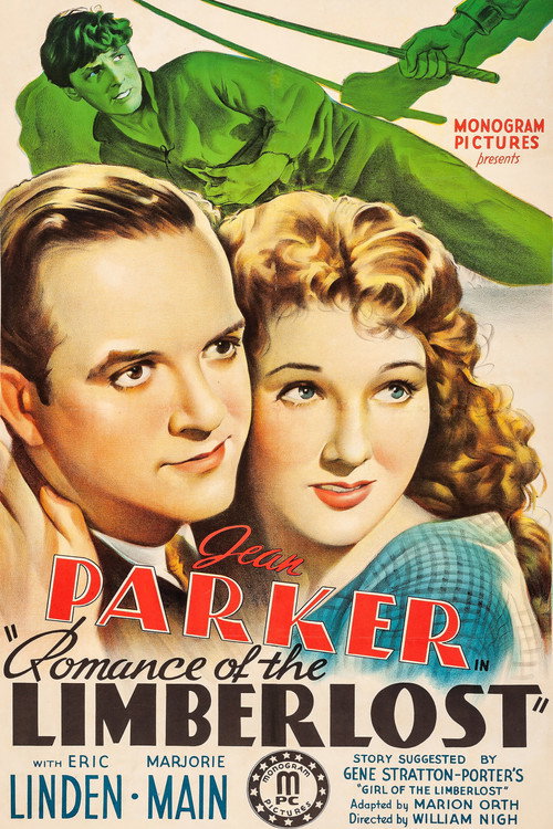Póster de Romance of the Limberlost
