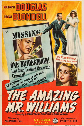 Póster de The Amazing Mr. Williams