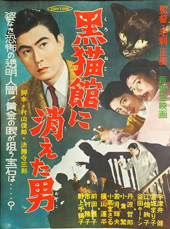 Póster de 黒猫館に消えた男