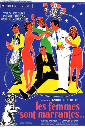 Póster de Les femmes sont marrantes...