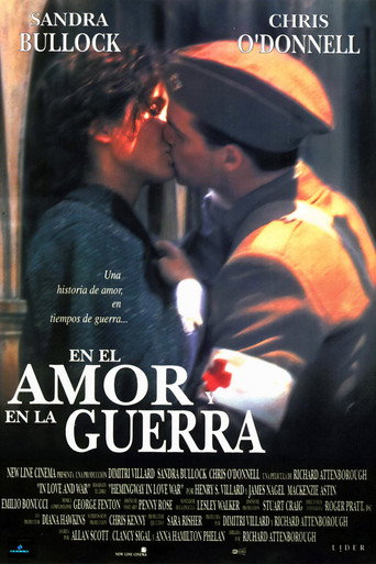 Póster de In Love and War