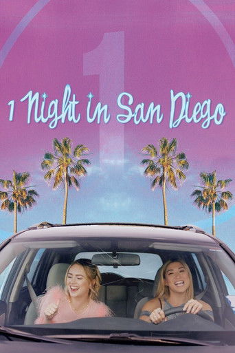 Póster de 1 Night in San Diego