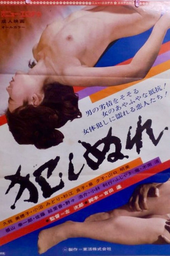 Póster de Okashi nure