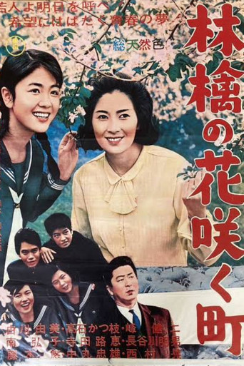 Póster de Apple Blossom Town