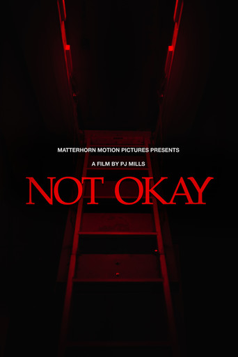 Póster de Not Okay