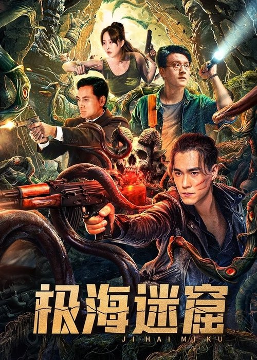Póster de 极海迷窟