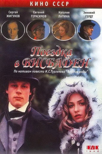 Póster de Поездка в Висбаден