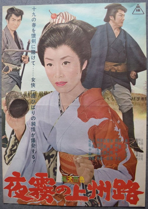 Póster de 夜霧の上州路