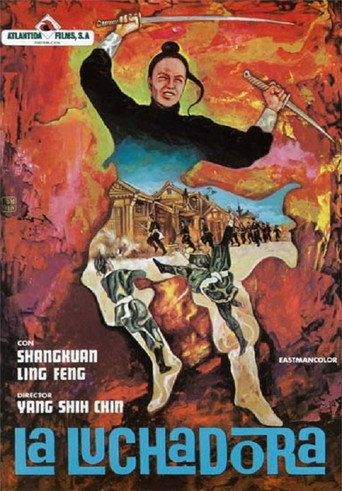 Póster de 女拳師