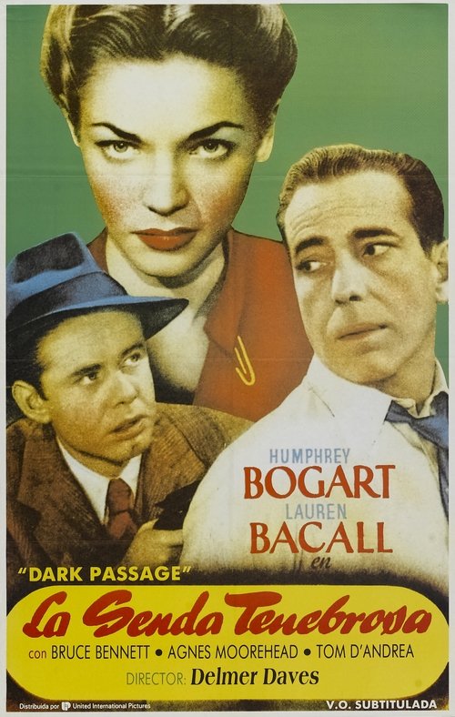 Póster de Dark Passage