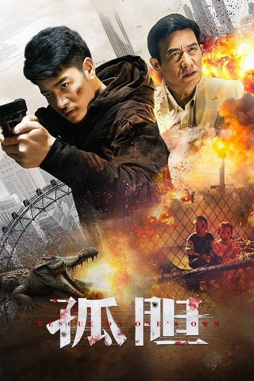 Póster de 孤胆