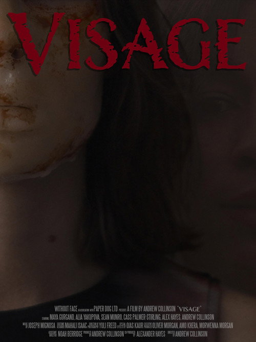 Póster de Visage