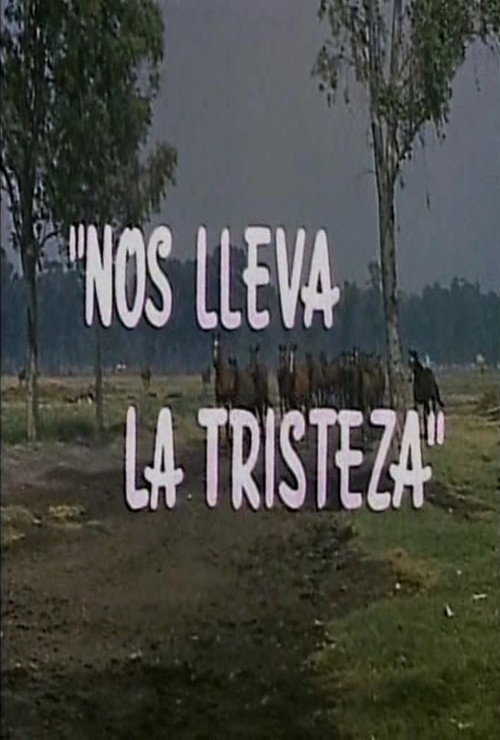 Póster de Nos lleva la tristeza