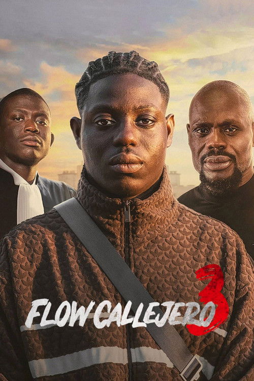 Póster de Flow callejero 3