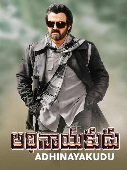 Póster de Adhinayakudu