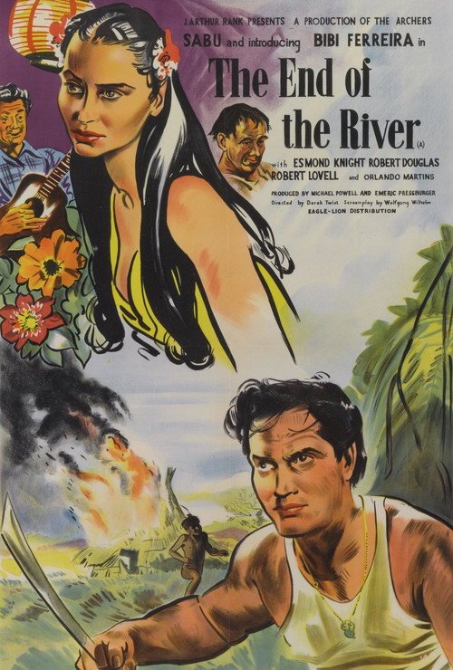 Póster de The End of the River