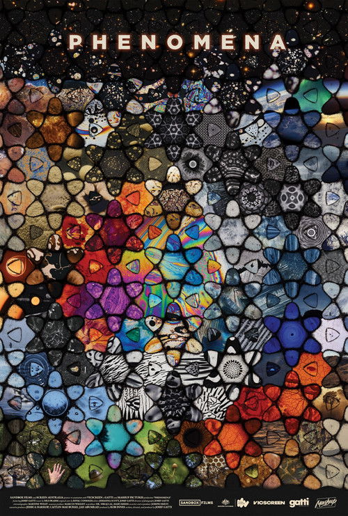 Póster de Phenomena