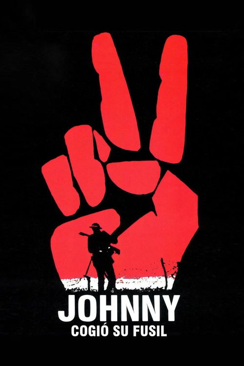 Póster de Johnny consiguió su arma