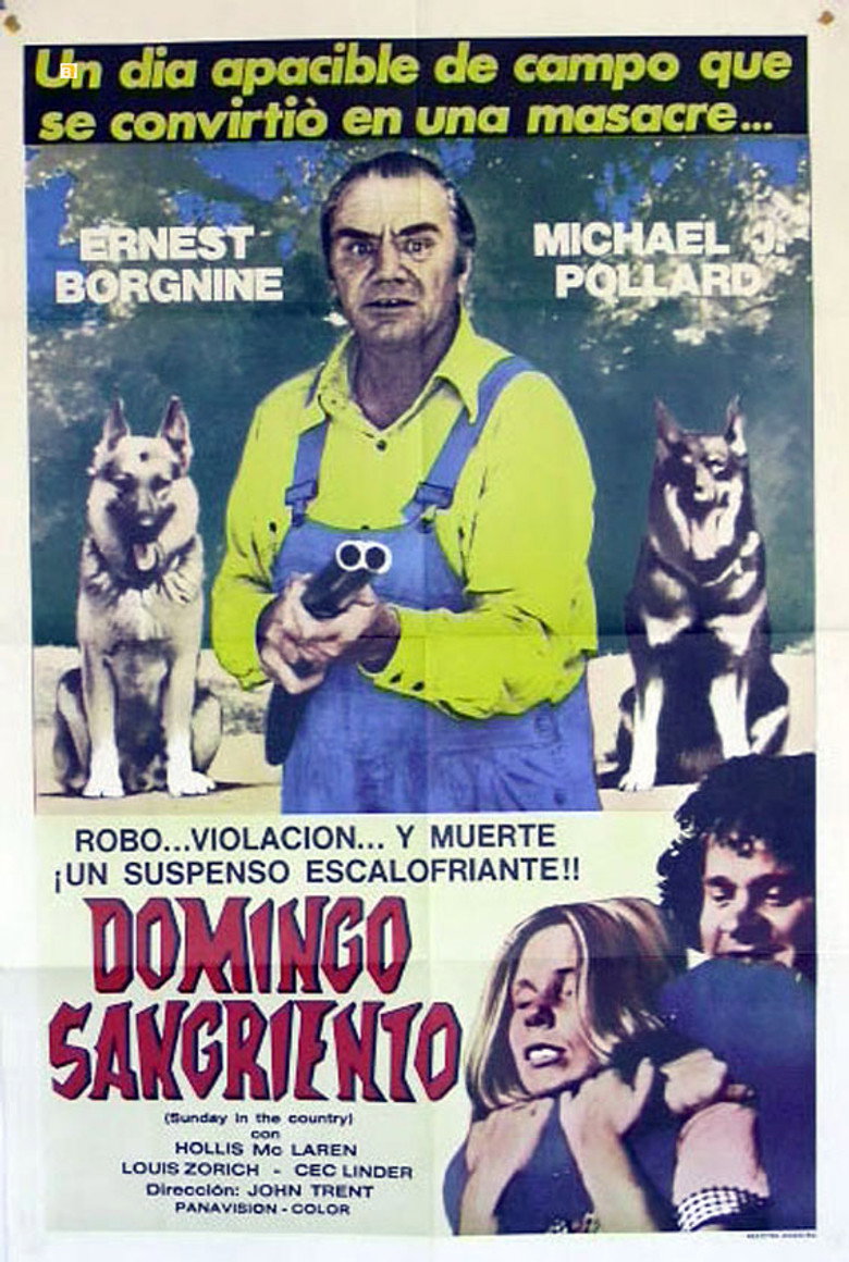 Póster de Sunday in the Country