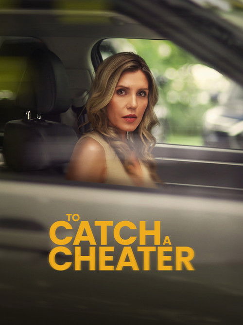 Póster de To Catch a Cheater