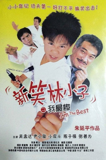 Póster de KUNFU KID
